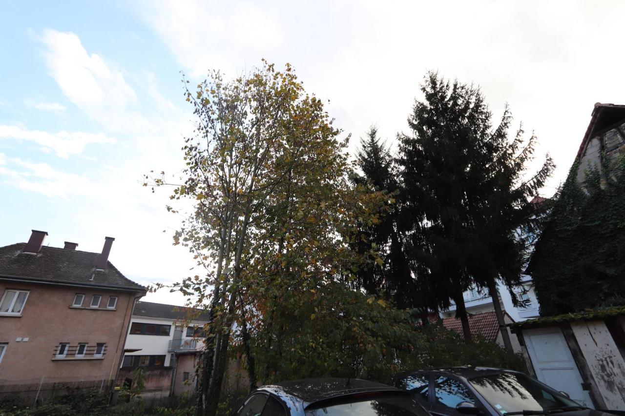 Homeday Cultivateur N°2 Appartement Type F3 Haguenau Extérieur photo